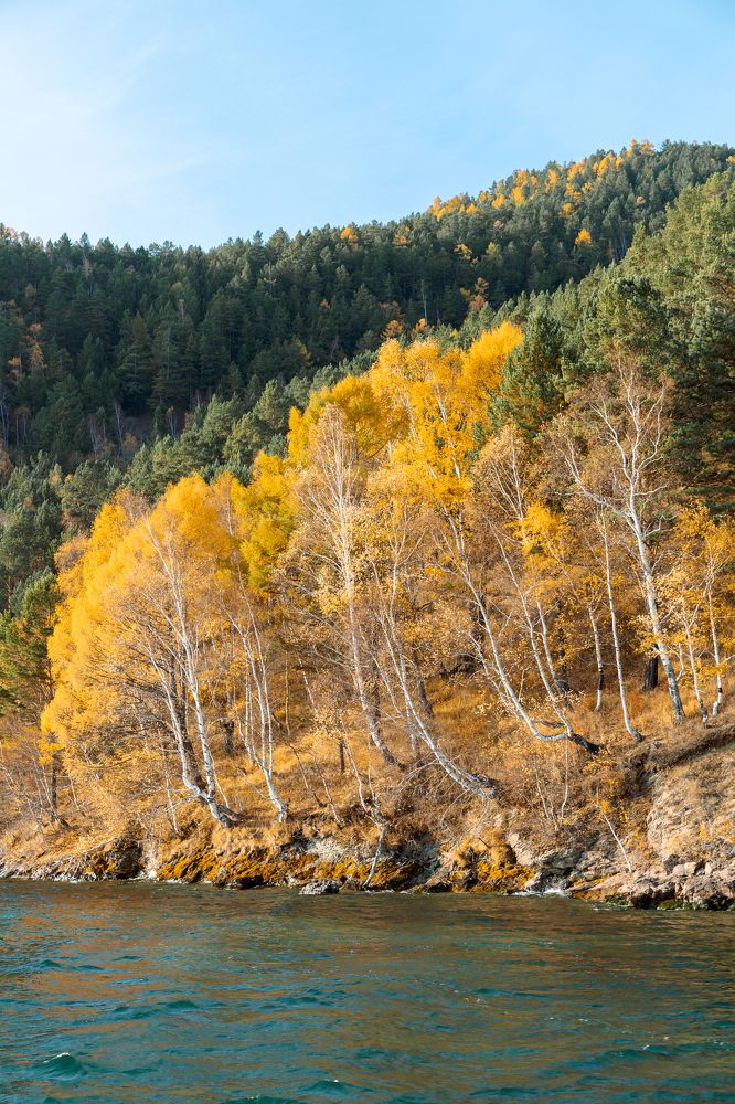 Photograph by Vera Vinogradova