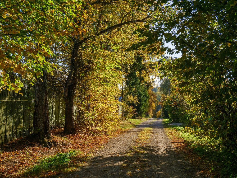 Photograph by Михаил Шохин