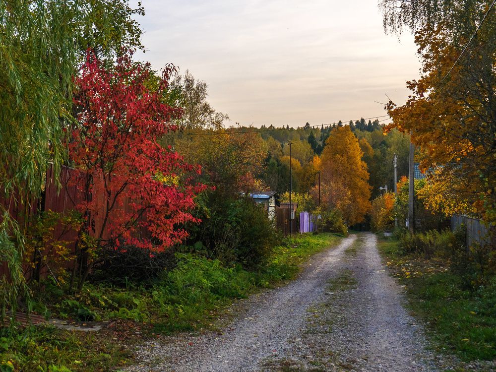 Photograph by Михаил Шохин