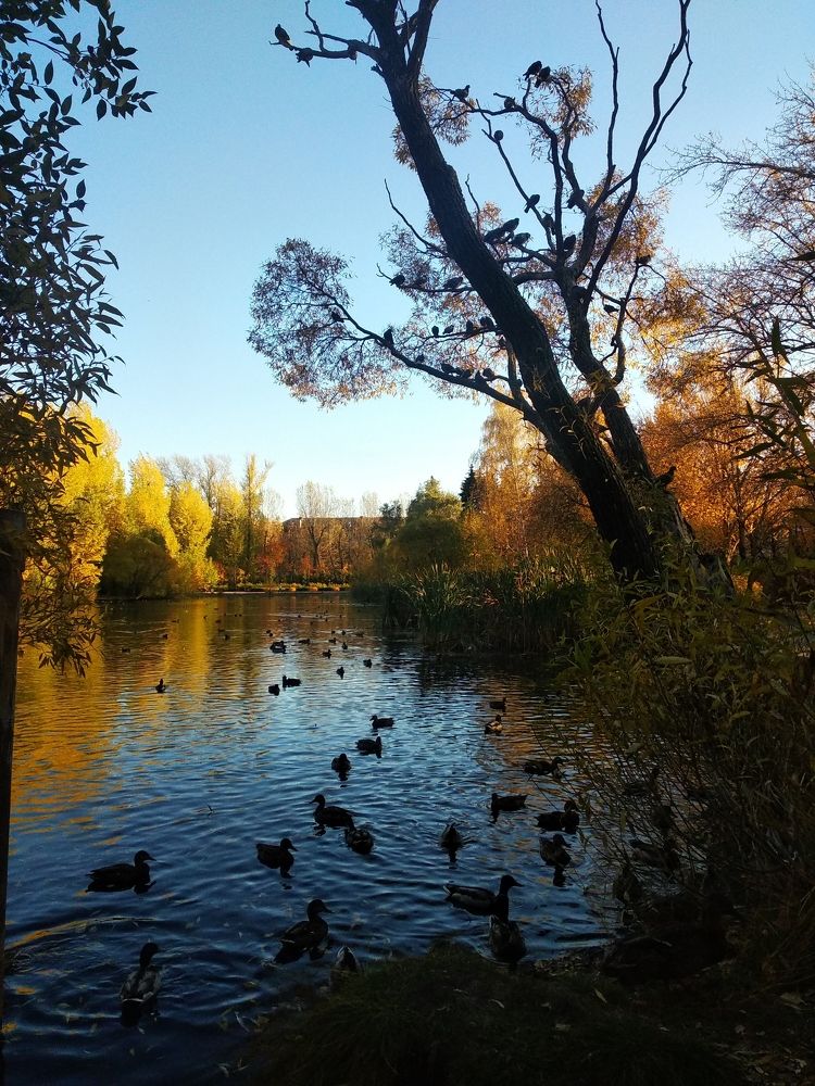 Photograph by Елена