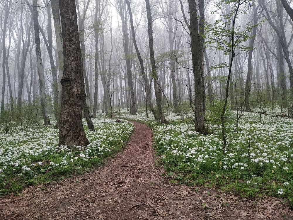 Photograph by Виталий Маслов