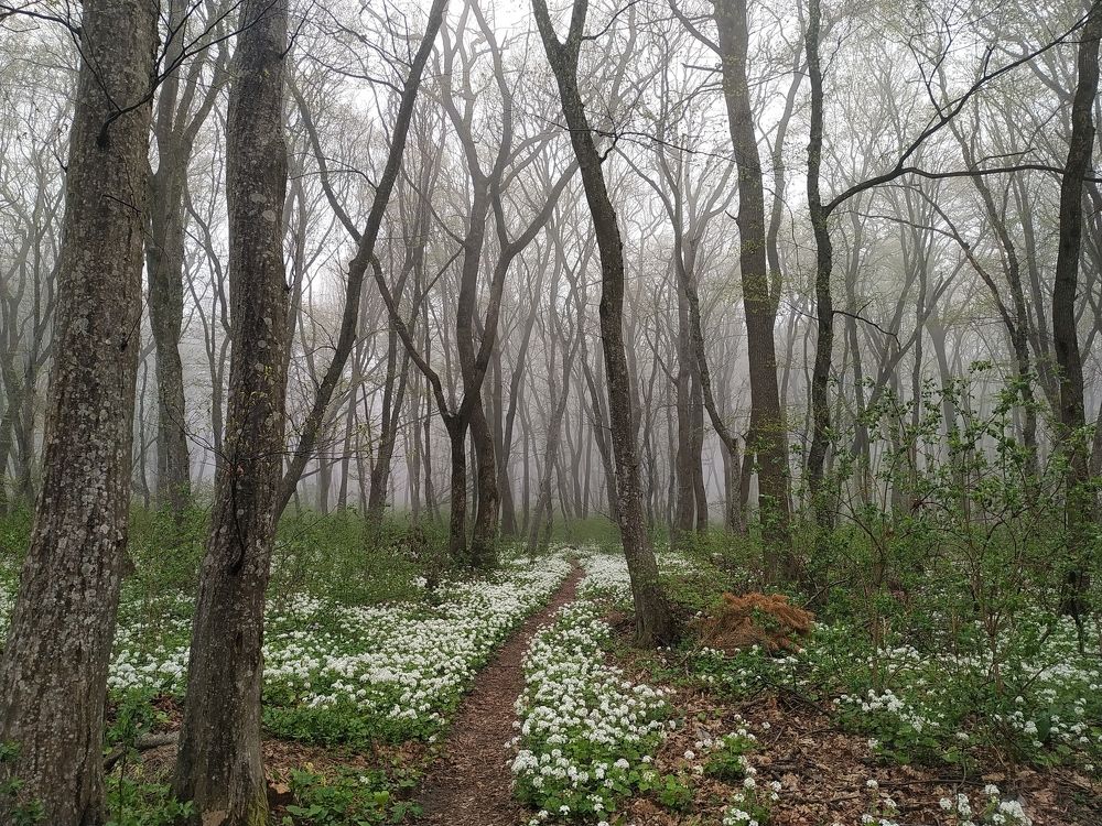 Photograph by Виталий Маслов