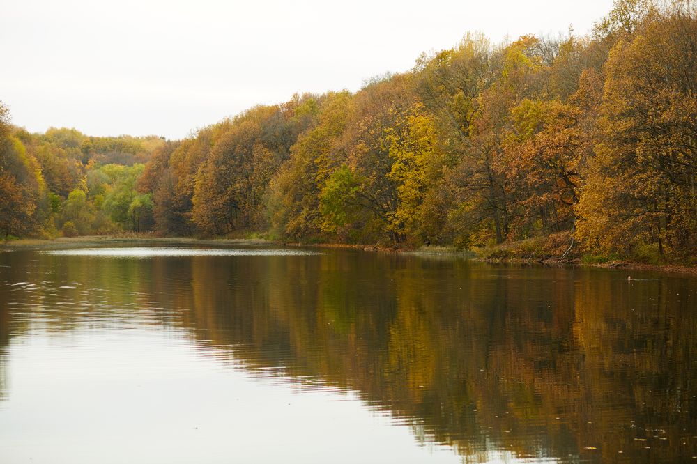 Photograph by Светлана Сафонова