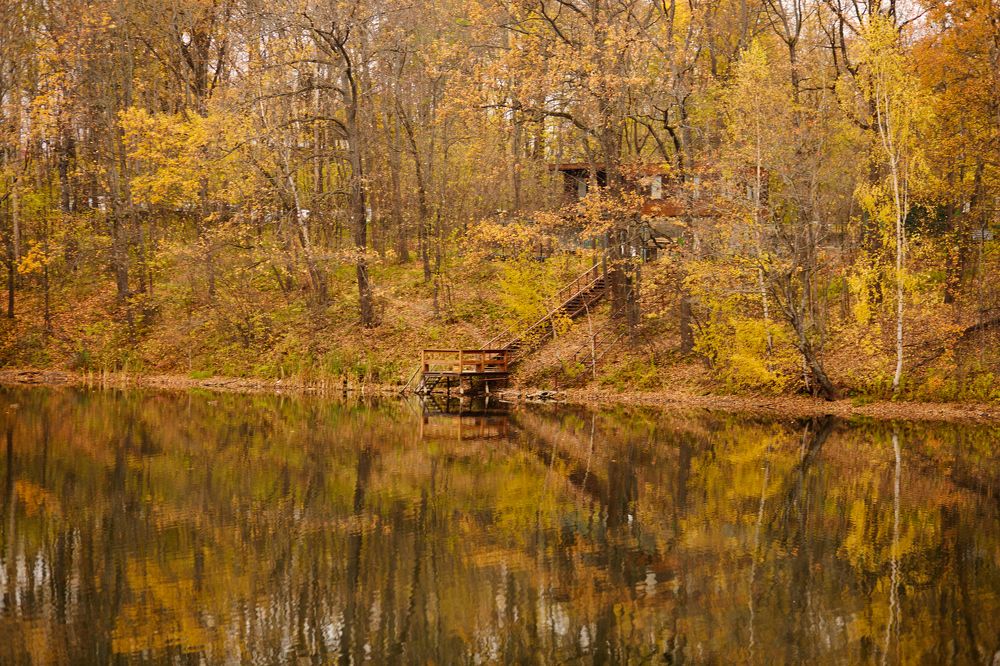 Photograph by Светлана Сафонова