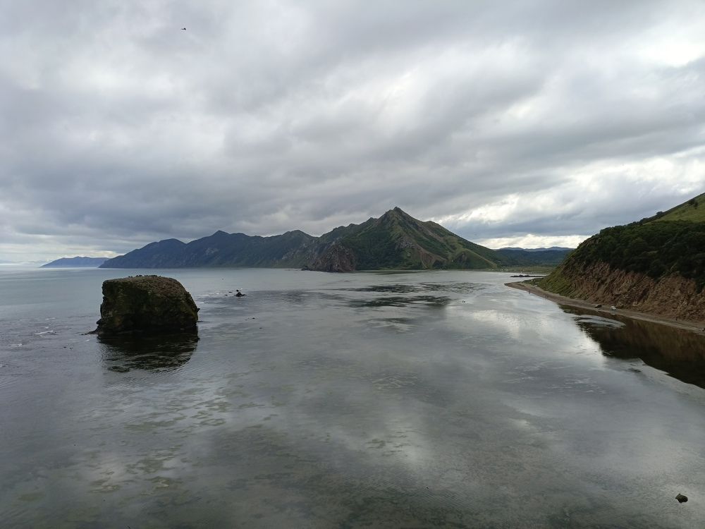 Photo #11230594