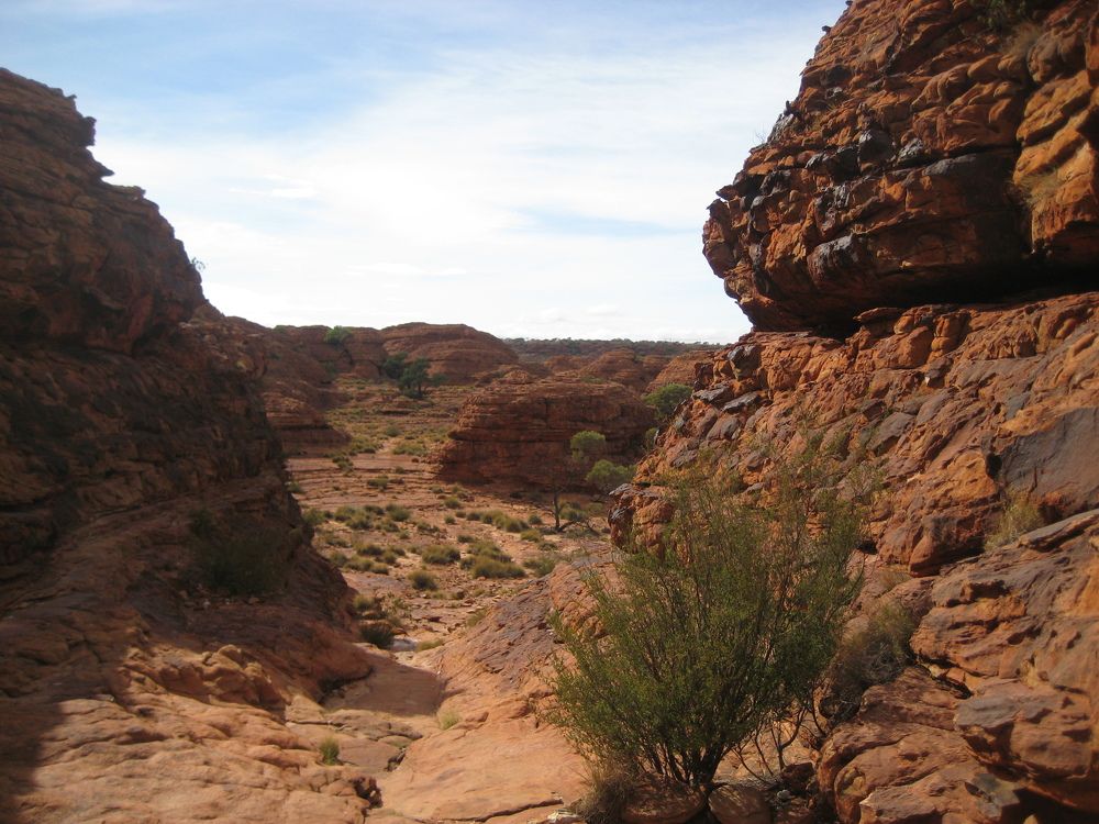 Фотография автора Елена Александрова