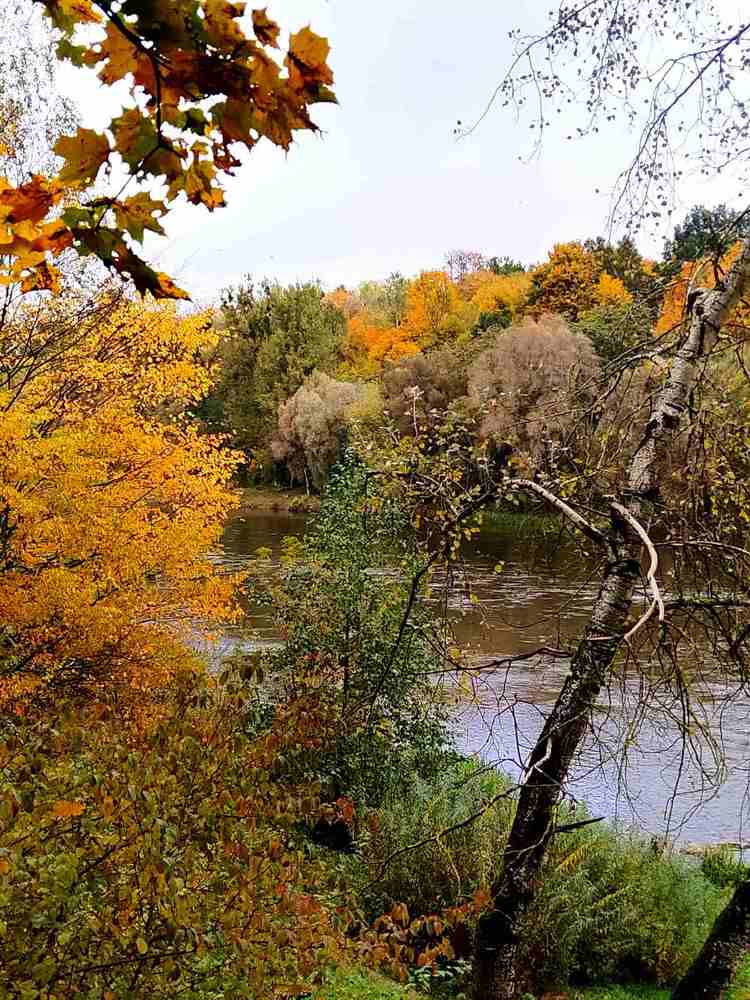 Photograph by Татьяна Солтан