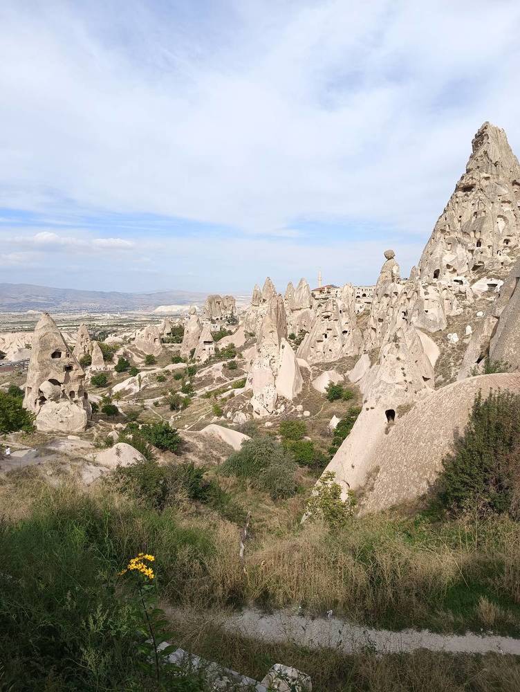 Фотография автора Елена Александрова