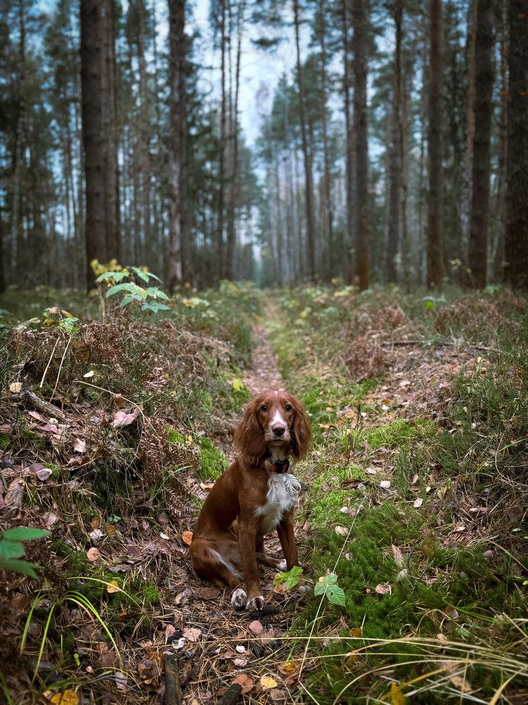 Фотография автора Михаил Вьючный