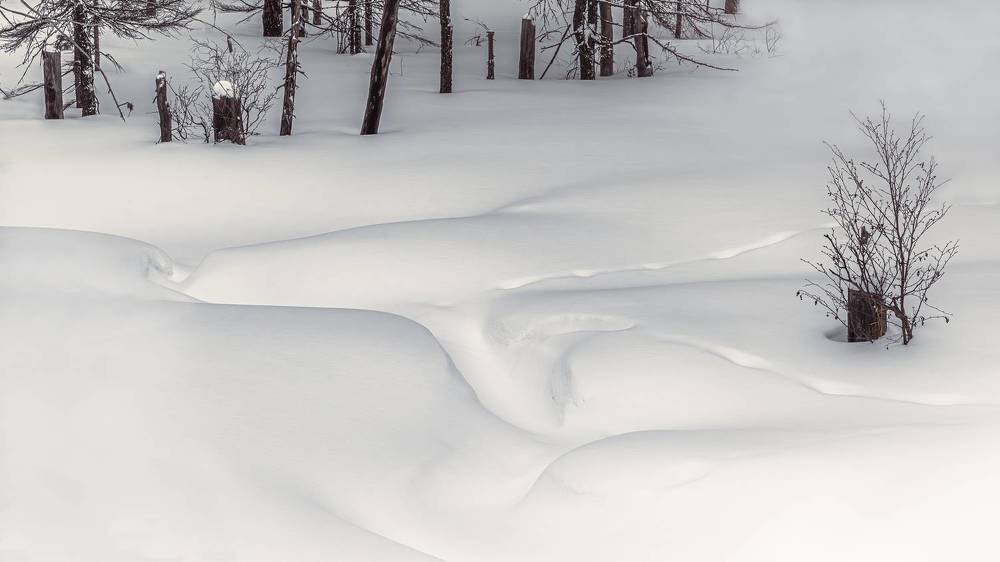 Photograph by Антон Сидоров