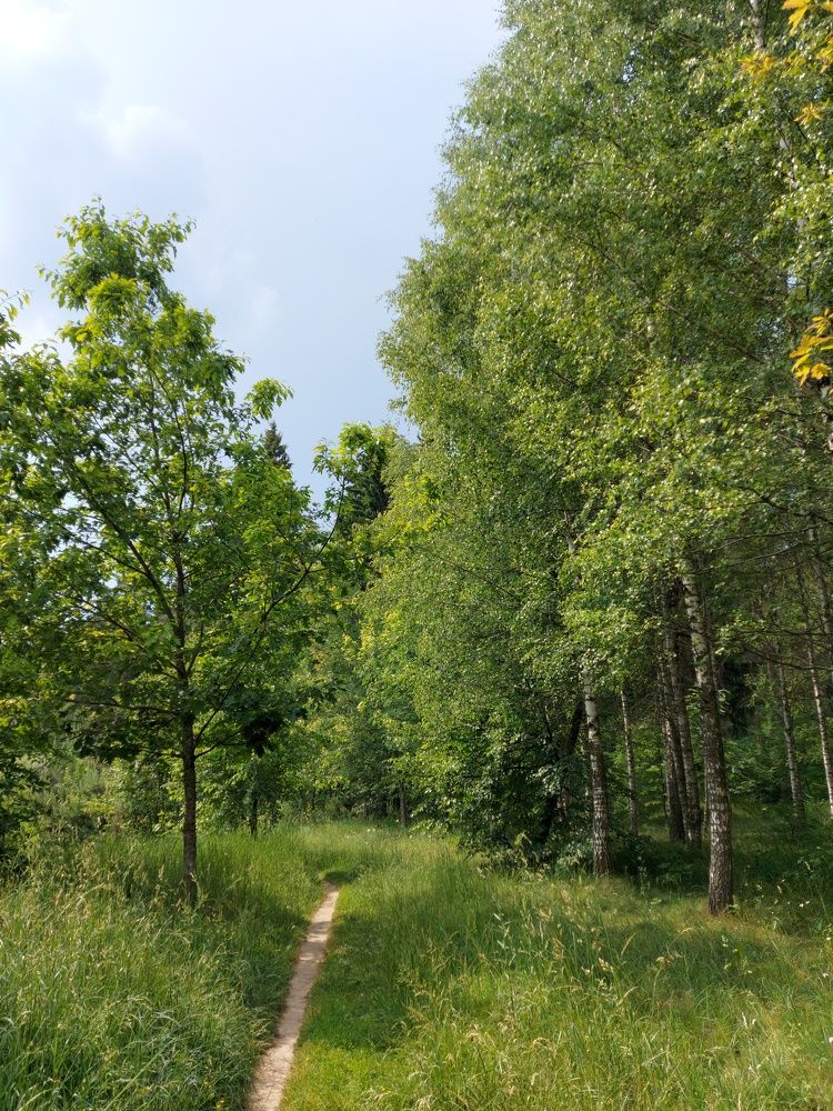 Photograph by ЭЛЬМИРА  ИСМАИЛОВА