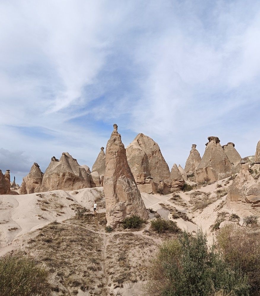 Фотография автора Елена Александрова