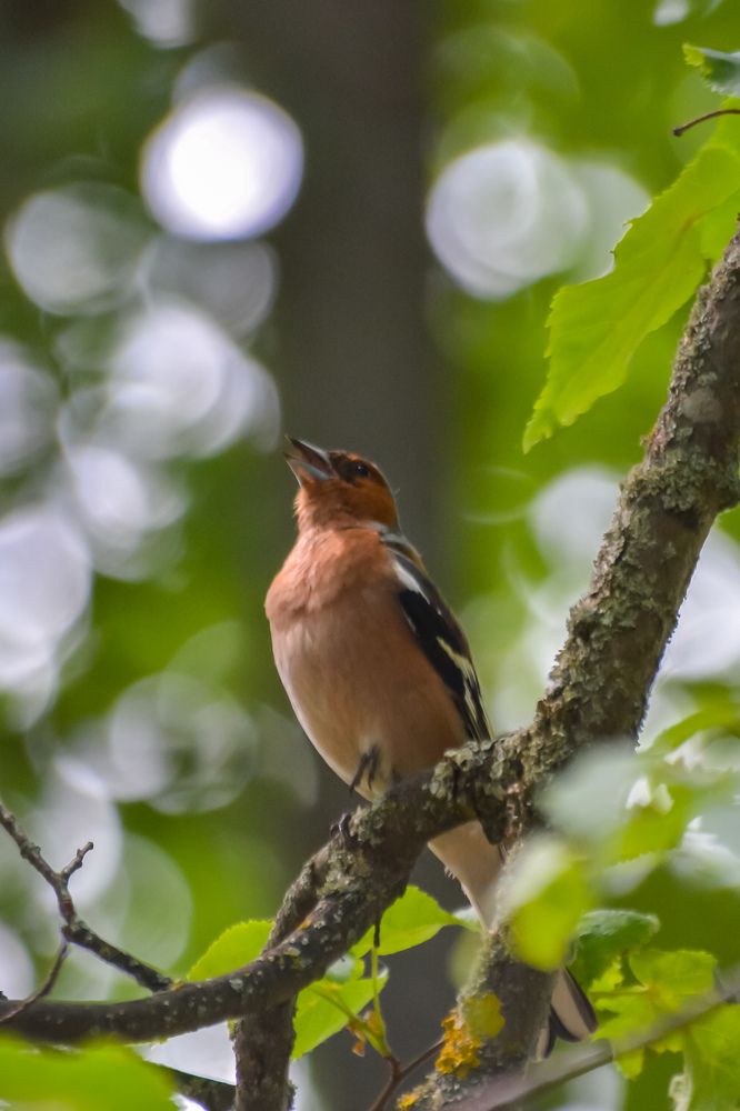Photograph by Сергей Гуров