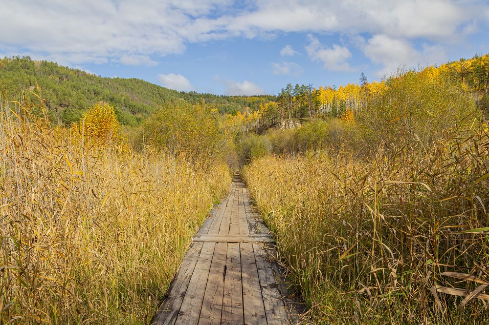 Photograph by Koledova Irina