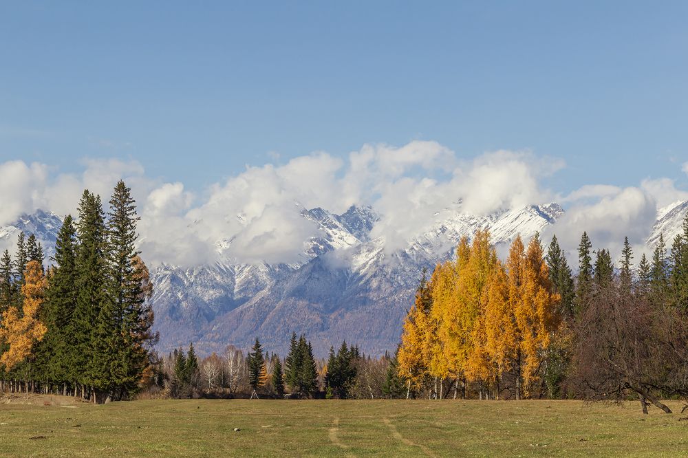 Photograph by Koledova Irina