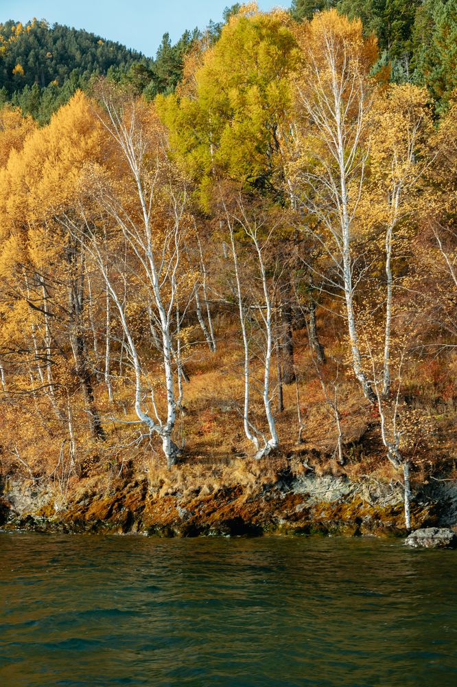 Photograph by Vera Vinogradova