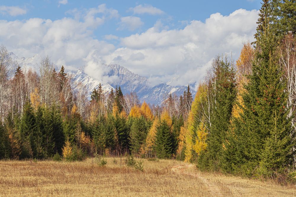 Photograph by Koledova Irina