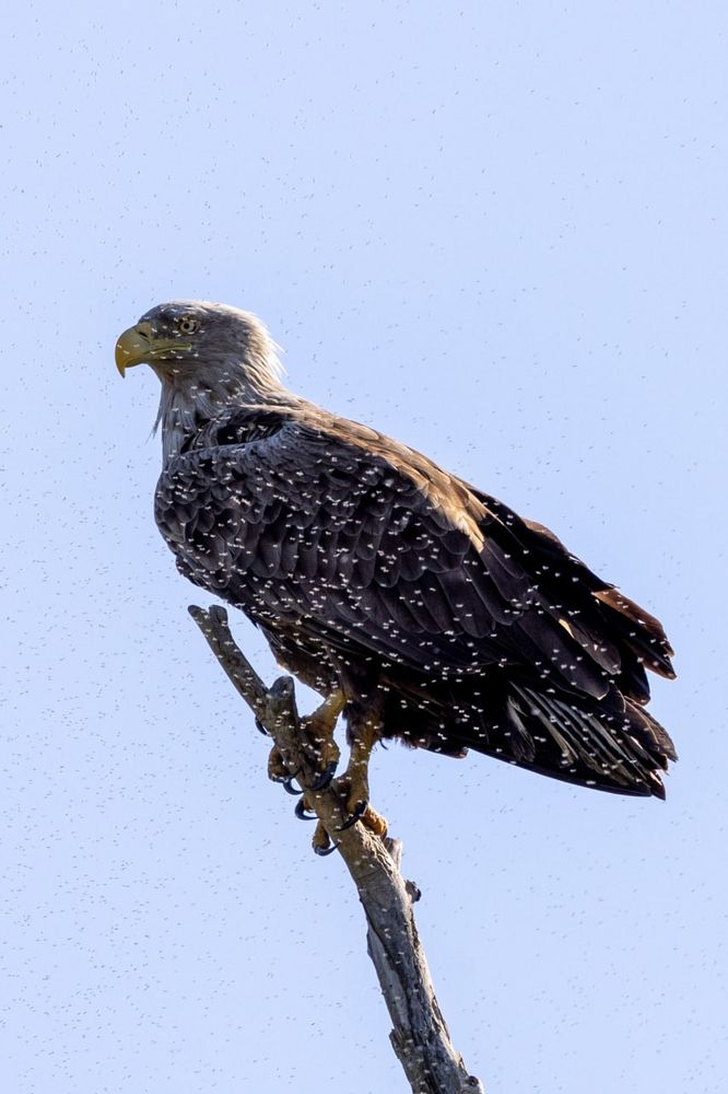 Photograph by Александр Шандов