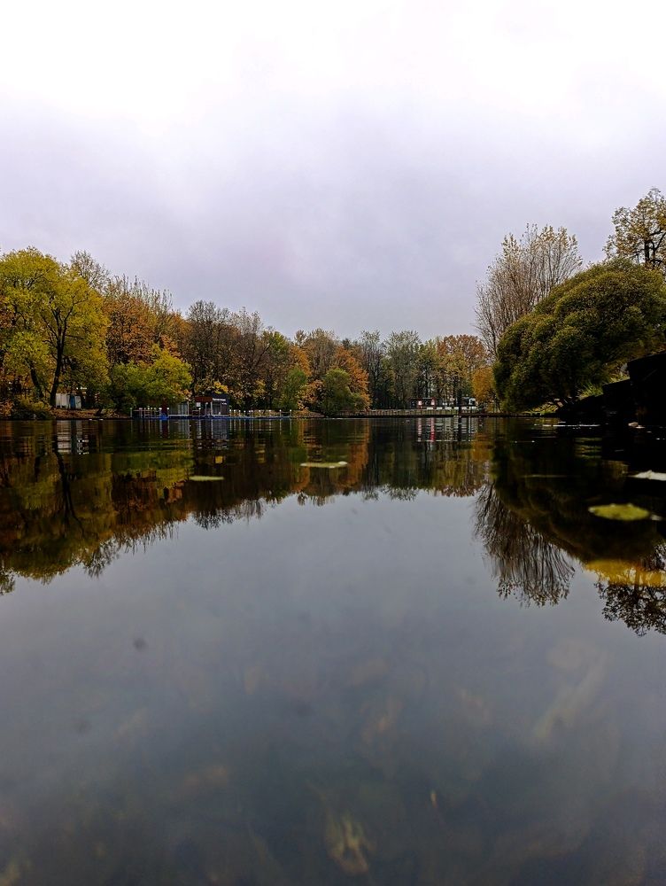 Photograph by Светлана Веселовская