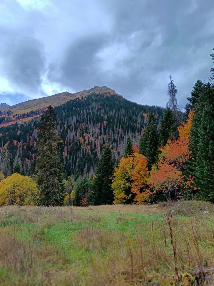 Фотография автора Rafa