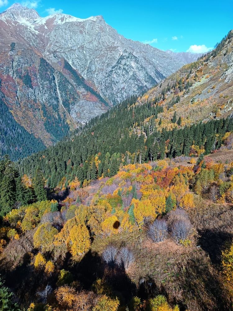 Фотография автора Rafa