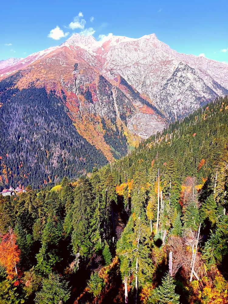 Фотография автора Rafa