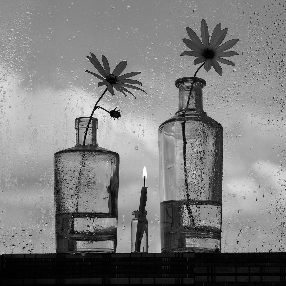 Без названия