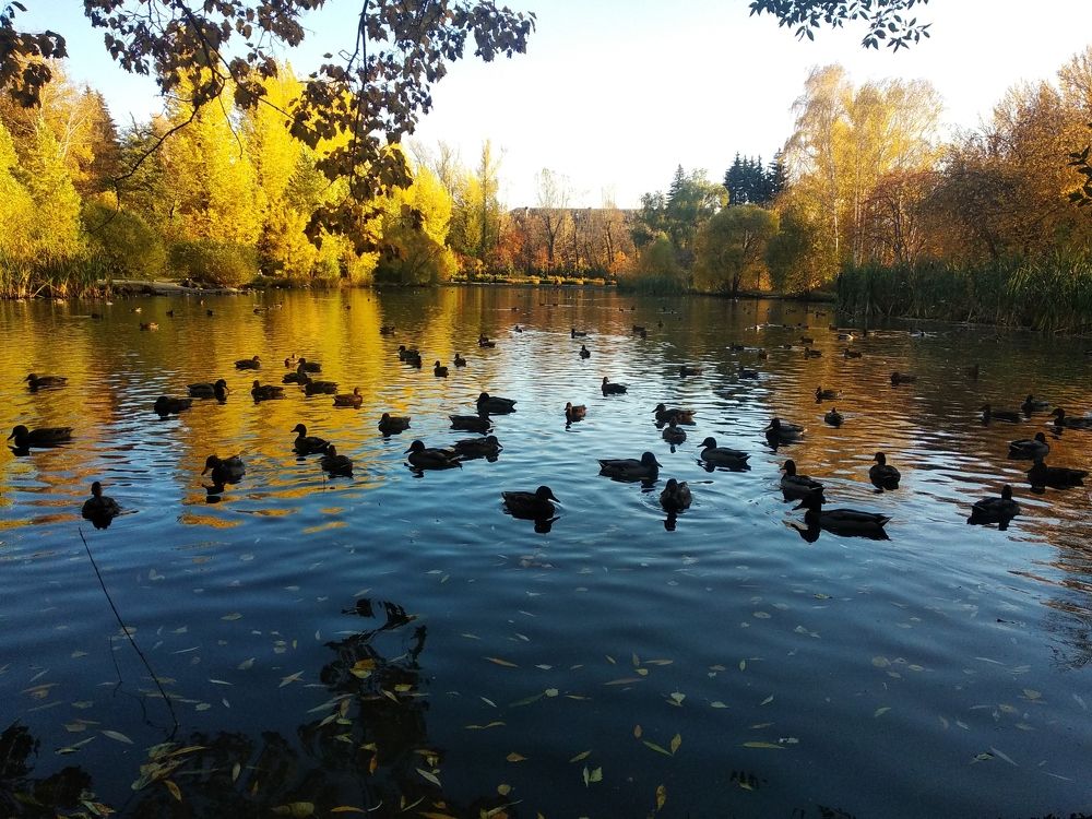 Photograph by Елена