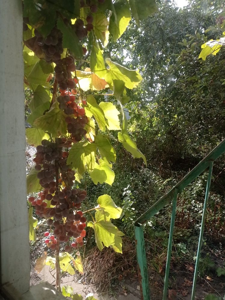 Photograph by Ирина Марченко