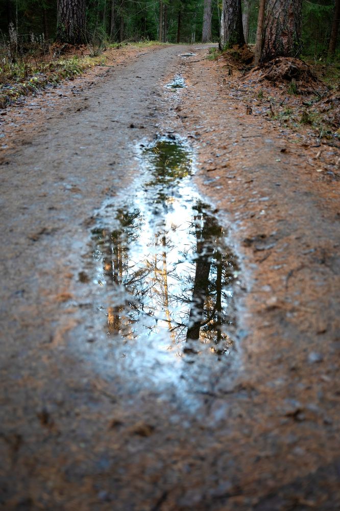 Photograph by Криволуцкий Вячеслав