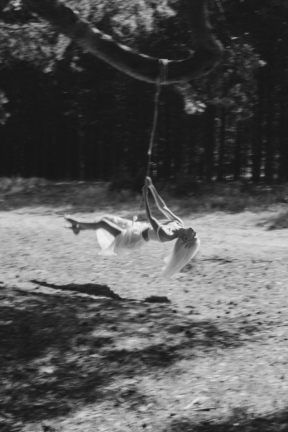 Photo #11230807