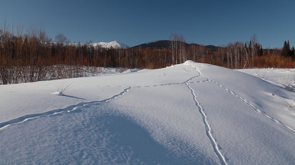 Photograph by Александр Полюдов