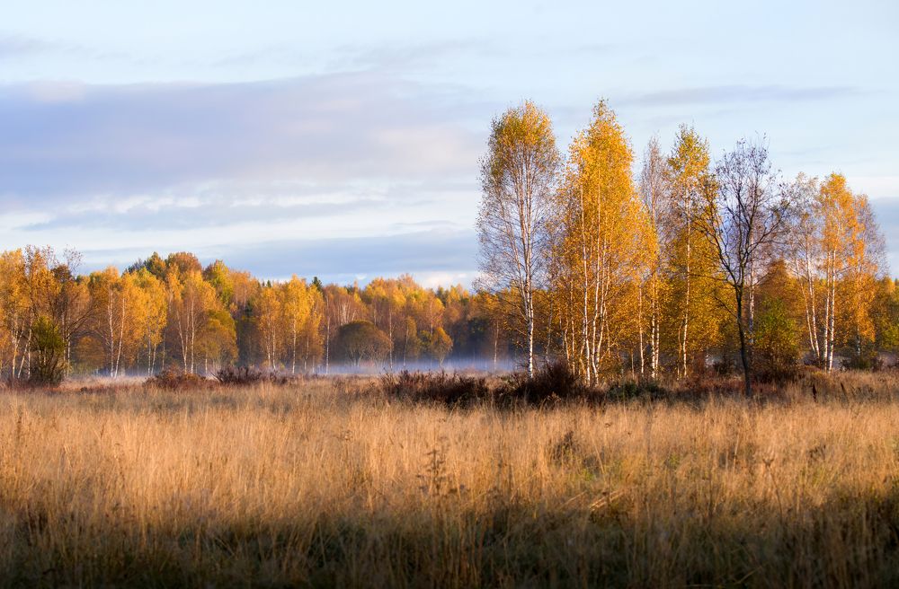 Фотография автора Михаил Ездаков