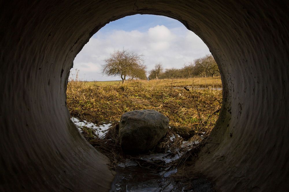 Photograph by Анна Евдокименко