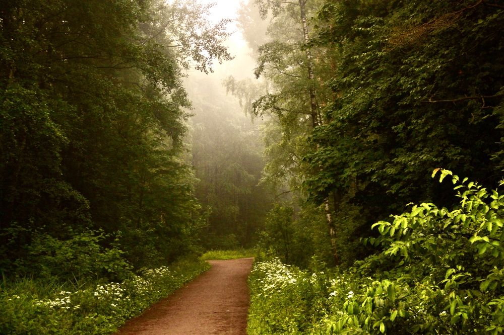 Photograph by Yana Egorova