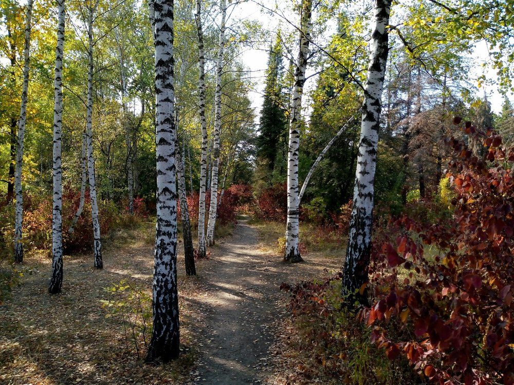 Photograph by Татьяна Пальчикова