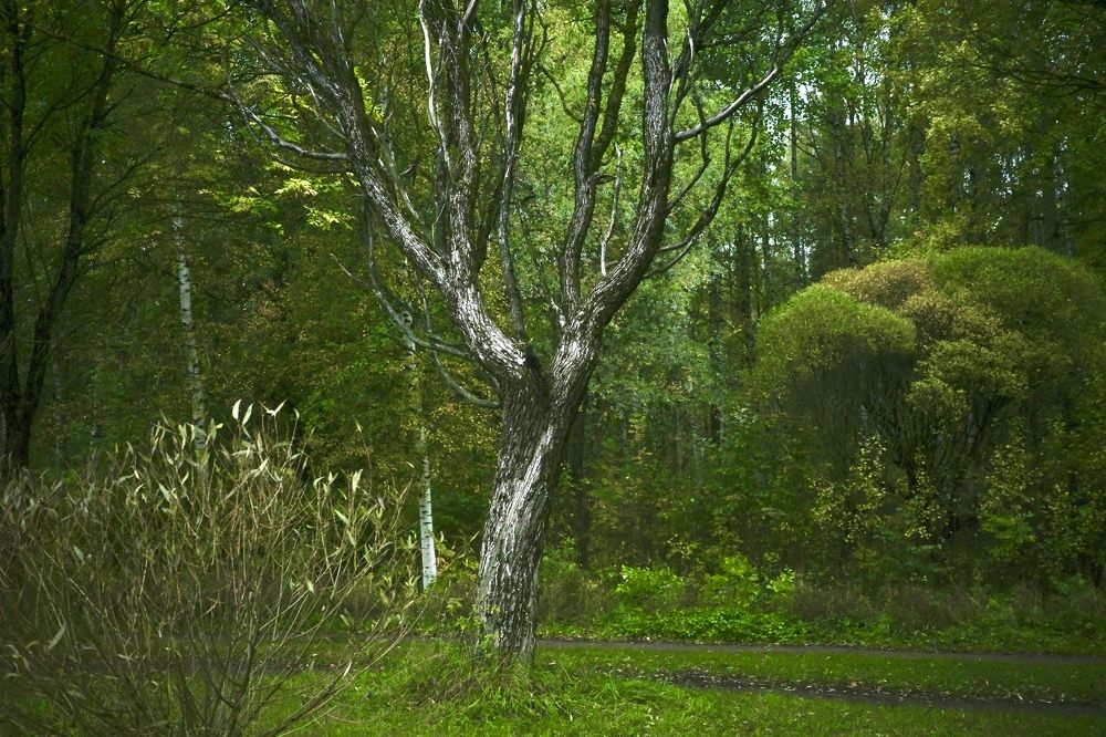 Photograph by Yana Egorova