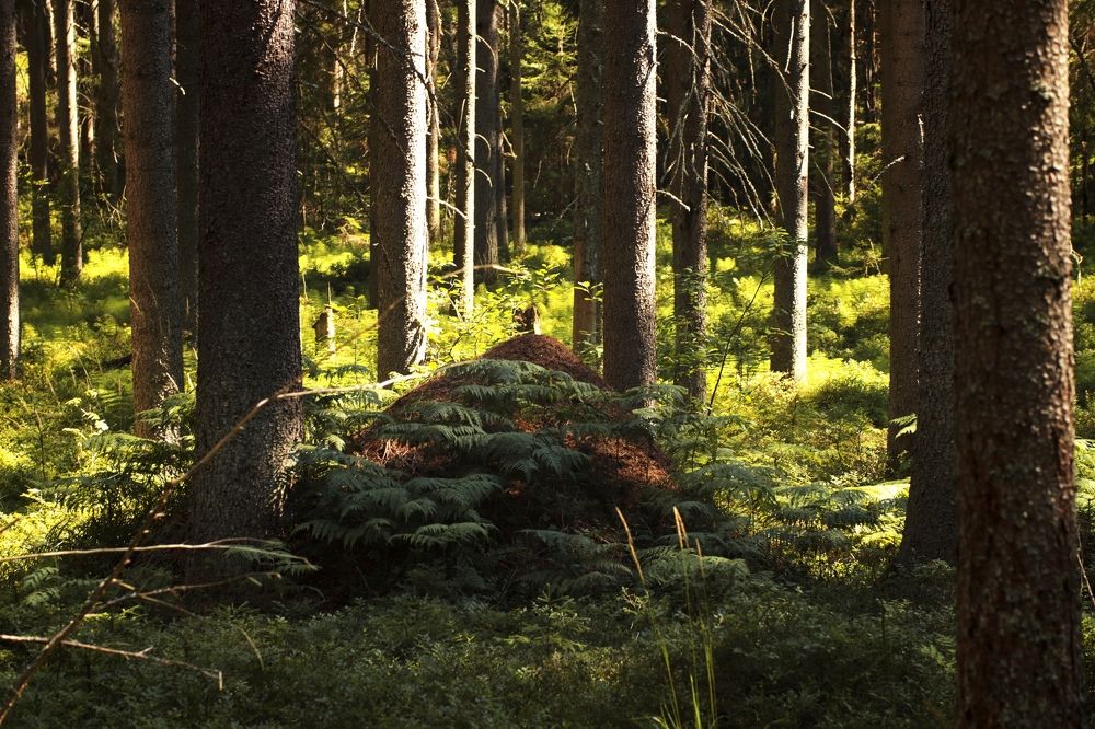 Photograph by Yana Egorova