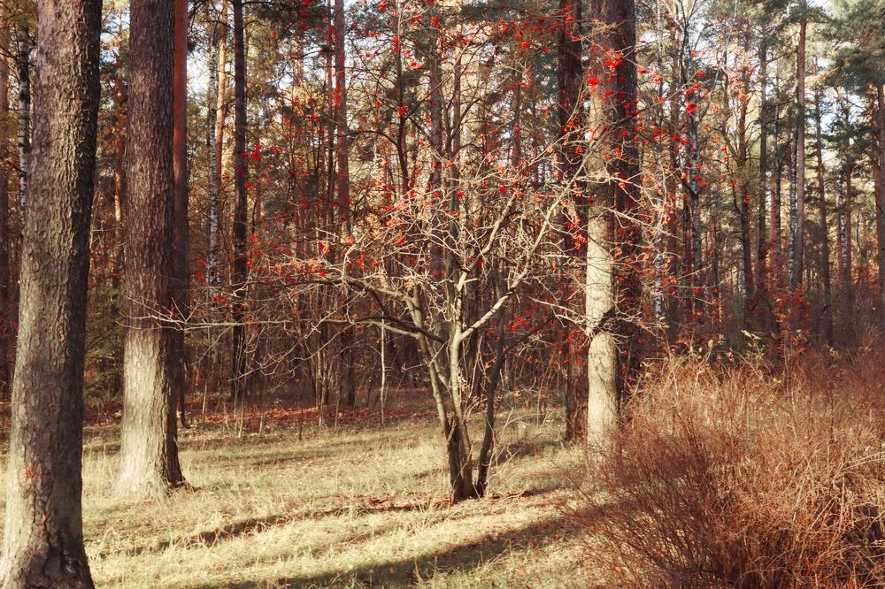 Photograph by Yana Egorova