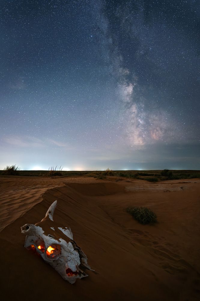 Фотография автора Дарина Соболь