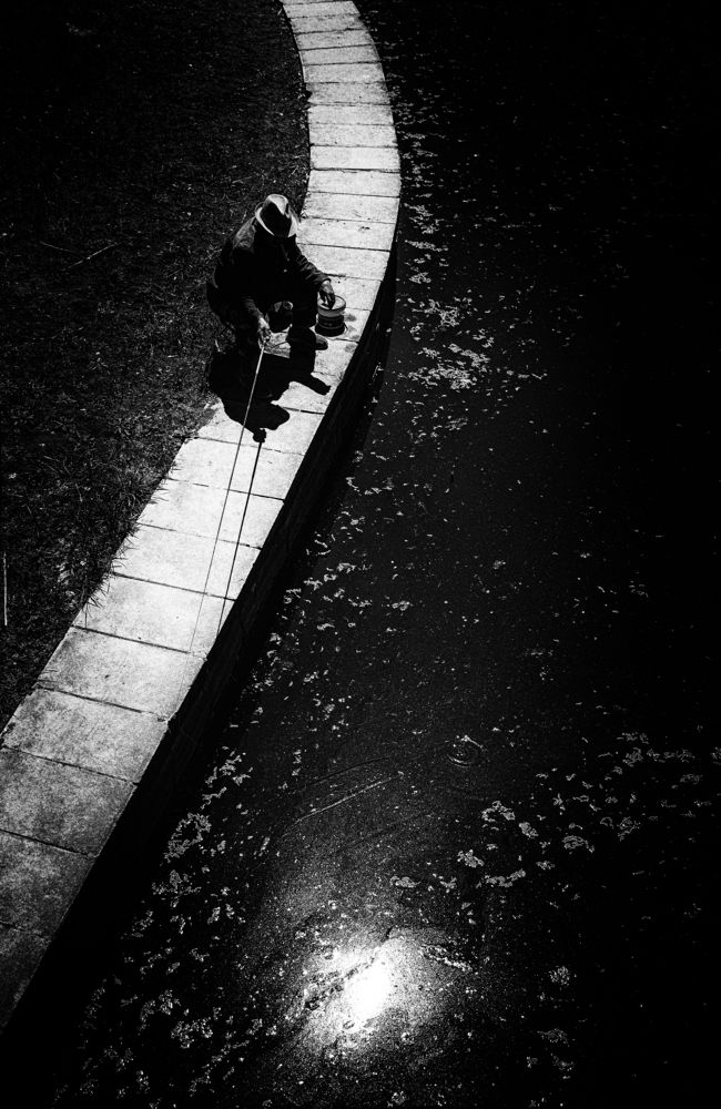 Photograph by Chen Chen