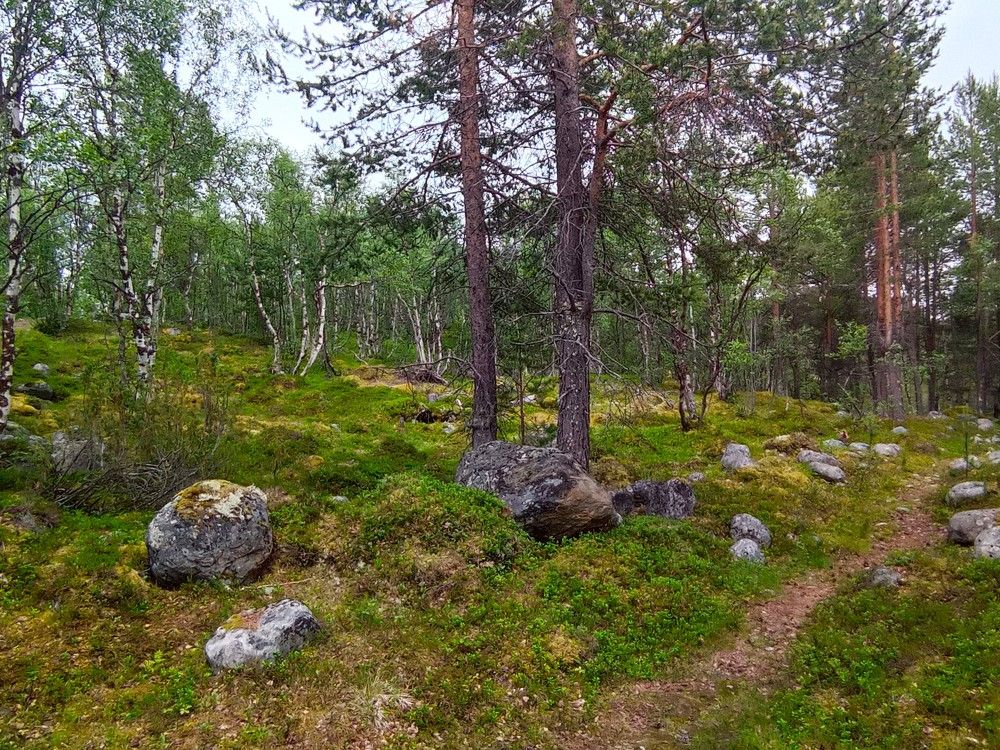 Photograph by Ирина Орлова