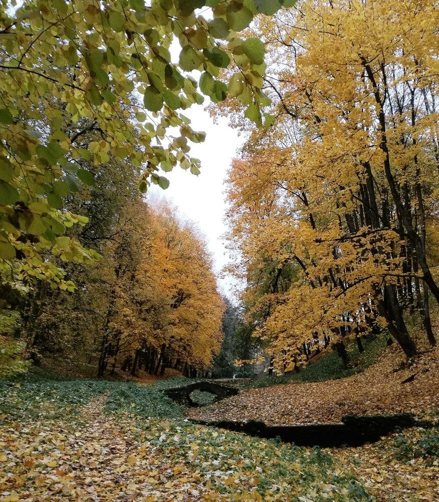 Photograph by Екатерина Супраненок