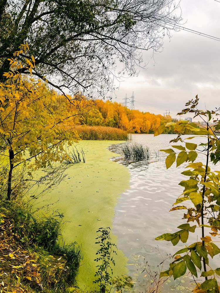 Фотография автора Evgeniya Sychkova