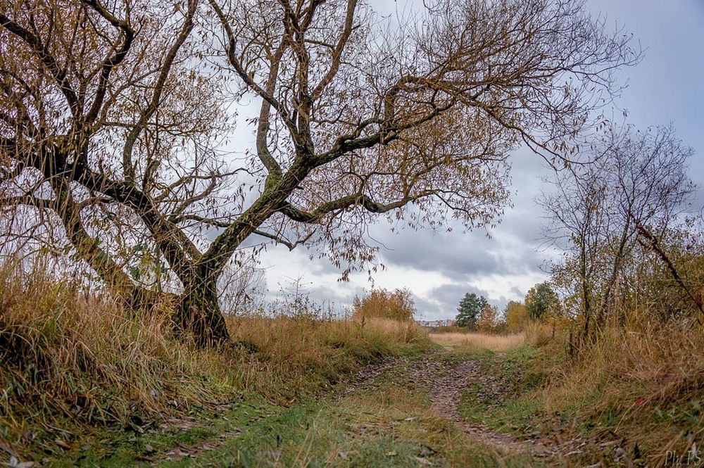 Photograph by Светлана Филипеня