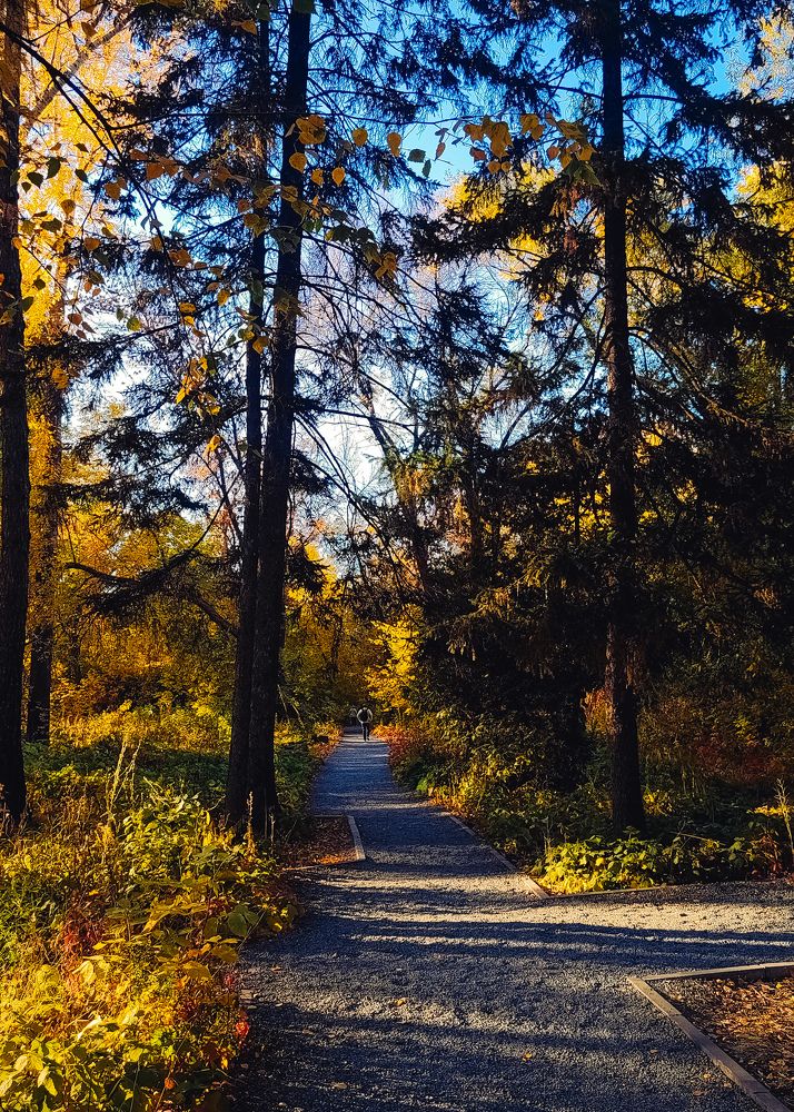 Photograph by Катерина Гущина