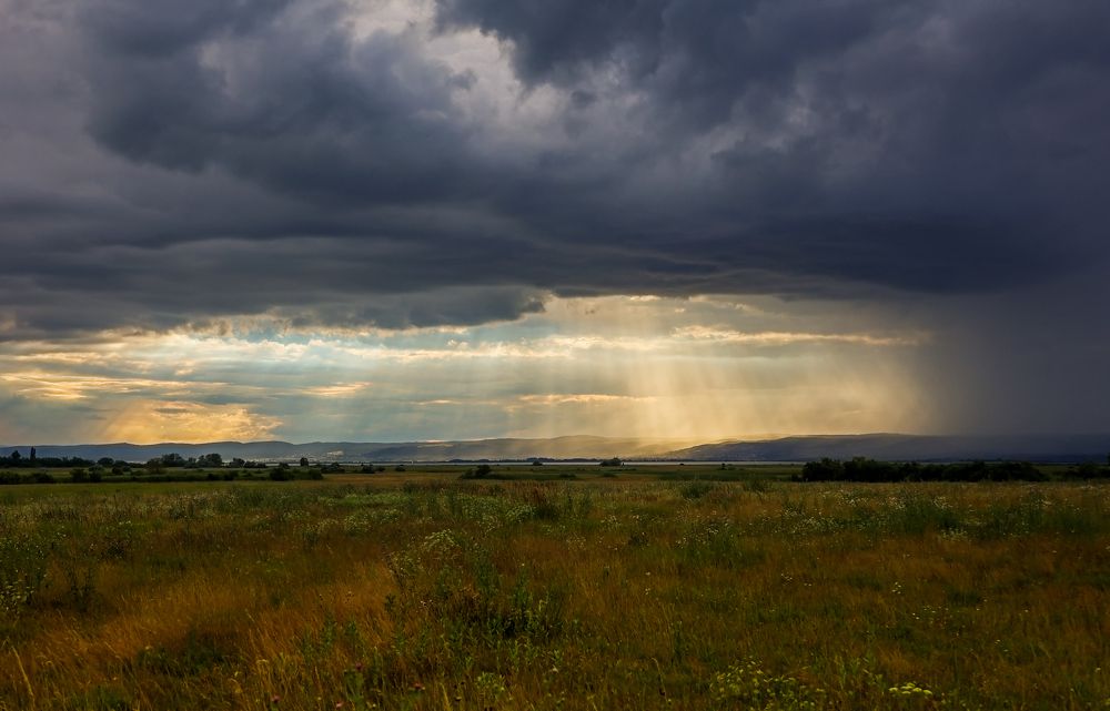 Photograph by Eva Wiedemann