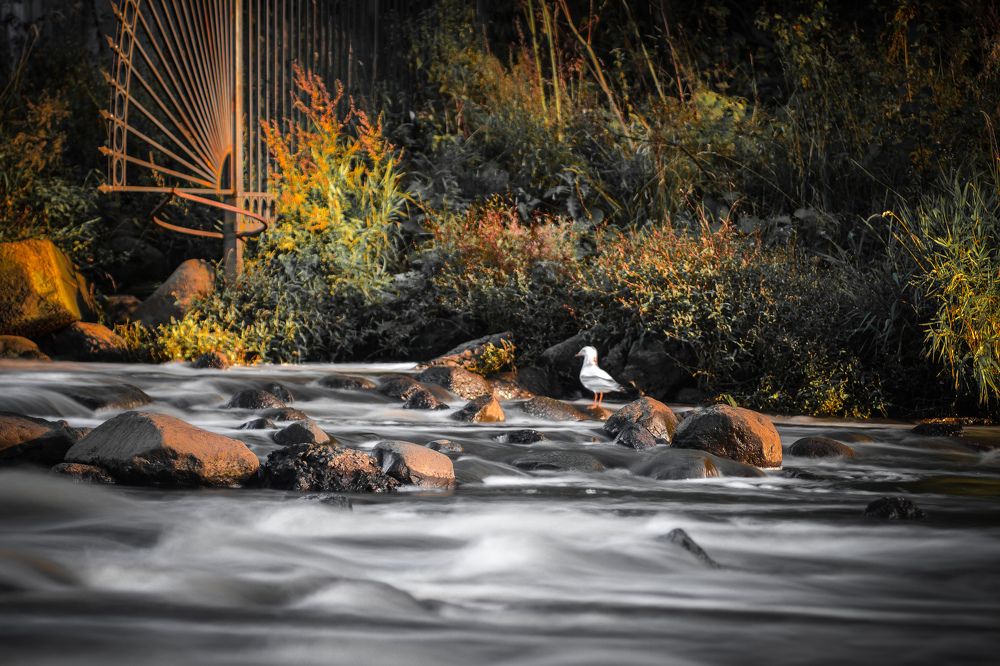 Photograph by Игорь Блинов