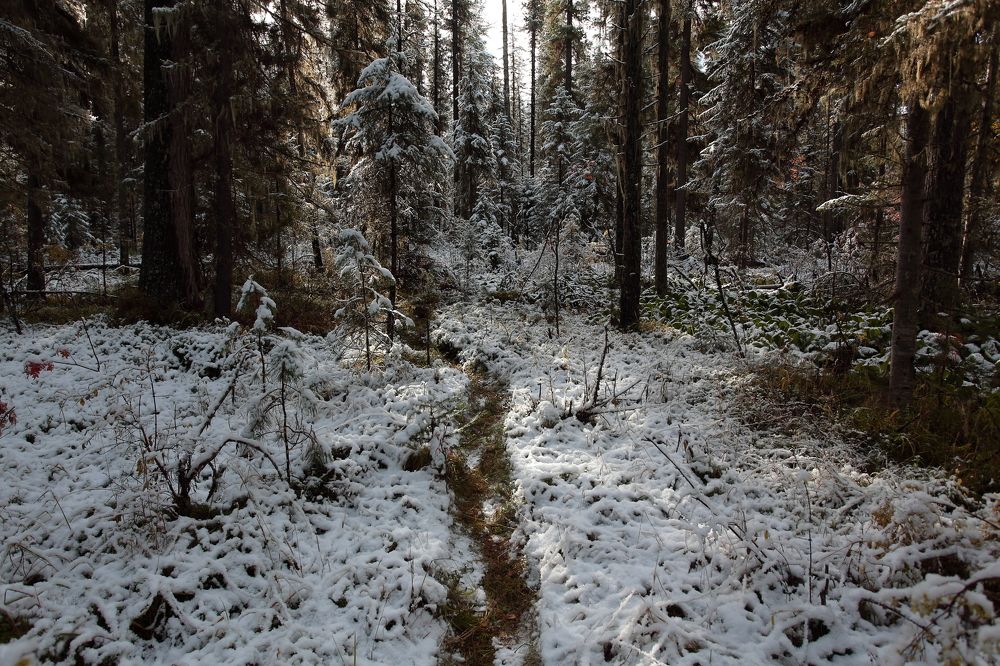 Photograph by Александр Полюдов