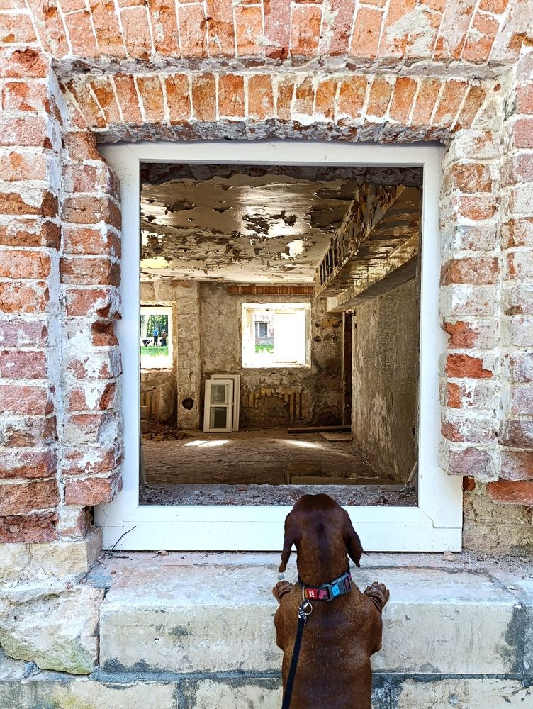 Photograph by Светлана Веселовская